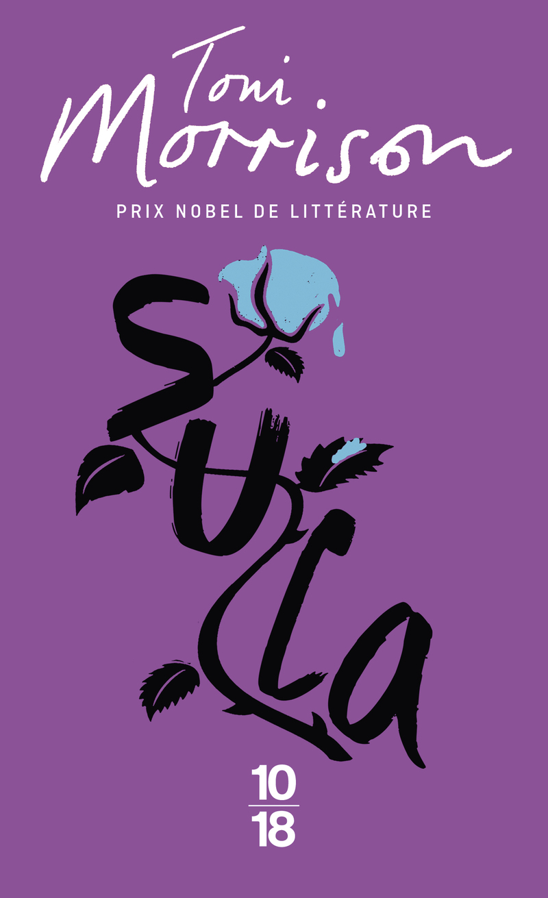 essay on sula by toni morrison essay on sula by toni morrison