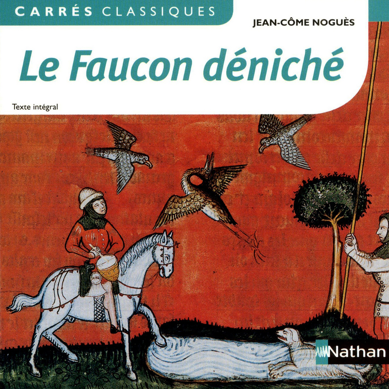 Resume de chaque chapitre du faucon deniche