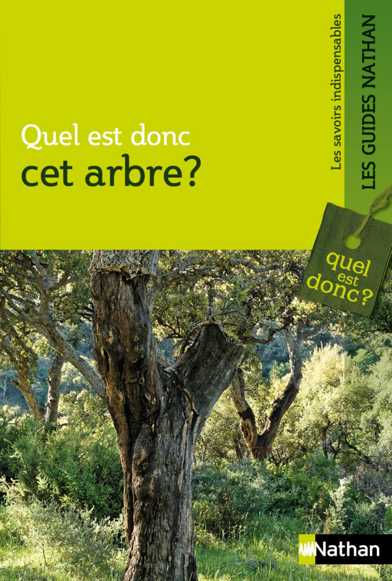 quel arbre est ce