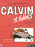 Int�grale Calvin & Hobbes T11