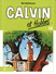 Calvin et Hobbes - T13 petit format