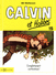 Calvin et Hobbes - T15 petit format