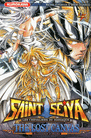 SAINT SEIYA - T11