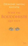 N'EST PAS BOUDDHISTE QUI VEUT