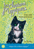 2. LES CHATONS MAGIQUES : UNE AIDE BIEN PR�CIEUSE