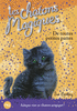 12. LES CHATONS MAGIQUES : DE TOUTES PETITES PATTES