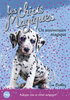 5. LES CHIOTS MAGIQUES : UN ANNIVERSAIRE MAGIQUE