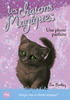13. LES CHATONS MAGIQUES : UNE PHOTO PARFAITE