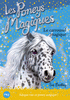 5. LES PONEYS MAGIQUES  : LE CARROUSEL MAGIQUE