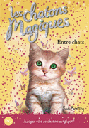 3. LES CHATONS MAGIQUES : ENTRE CHATS
