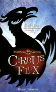 CIRRUS FLUX