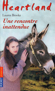 38. HEARTLAND : UNE RENCONTRE INATTENDUE