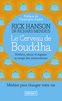 LE CERVEAU DE BOUDDHA Bonheur, amour et sagesse au temps des neurosciences