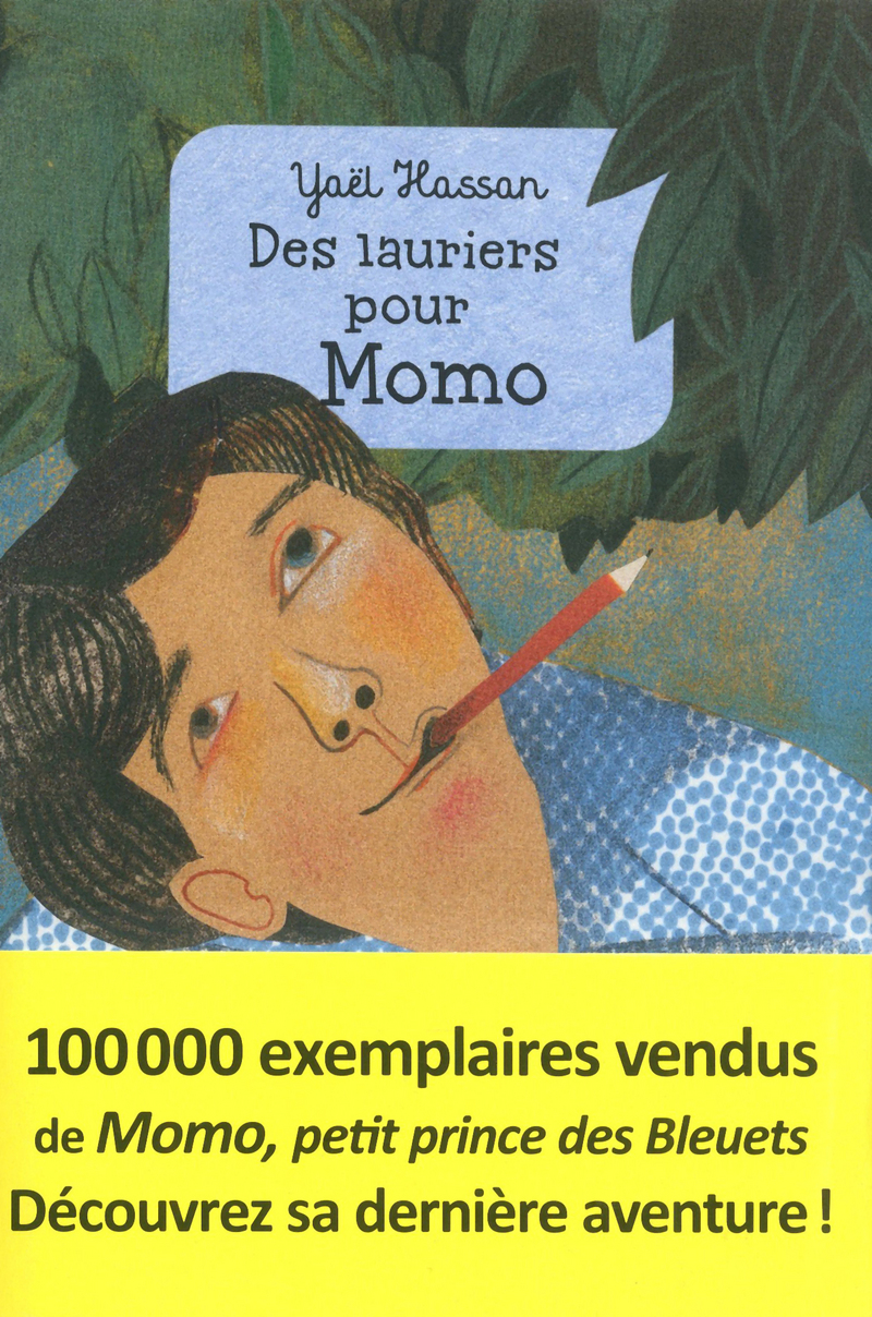 Momo Petit Prince Des Bleuets Résumé Par Chapitre