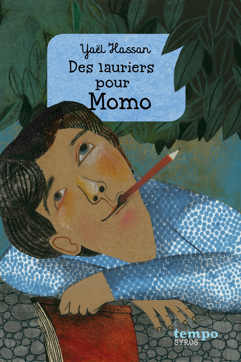 Résumé Du Livre Momo Petit Prince Des Bleuets