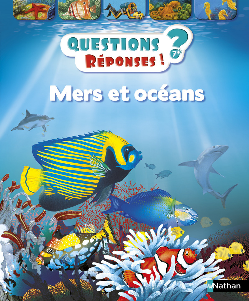 Le Silence De La Mer Questions Réponses