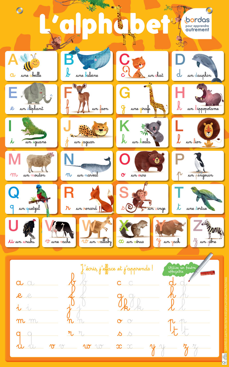 poster ardoise lalphabet cahier dactivitesdexercices