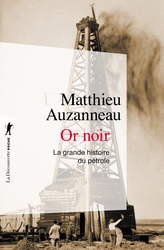 Or noir - Matthieu Auzanneau