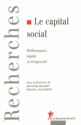 Le capital social - Antoine Bevort, Michel Lallement